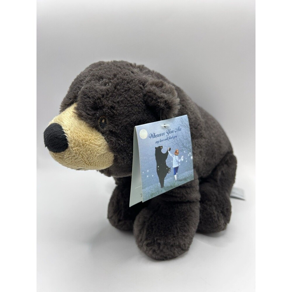 Nancy Tillman Bear Plush You Are Loved 2016 Demdaco 13" Stuffed Animal New